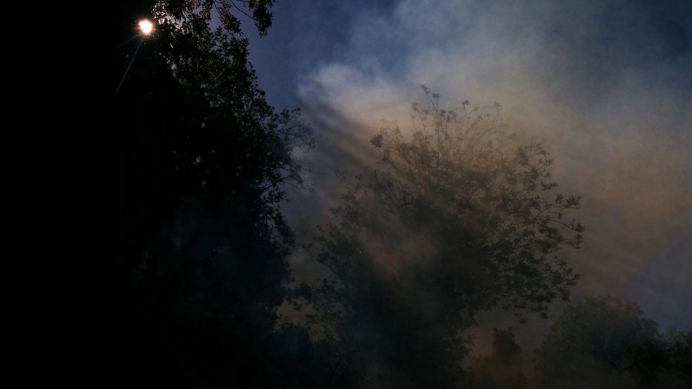 Lumière au crépuscule sur le terrain